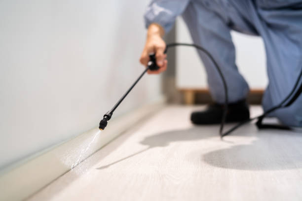 Licensed Pest Control service in Rainelle, WV - Show Me Pest Control