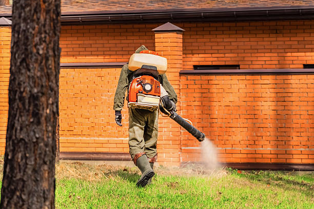 Bed Bug Clearance Verification and Documentation in Rainelle